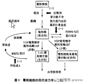 1689830917823439.png 640.png